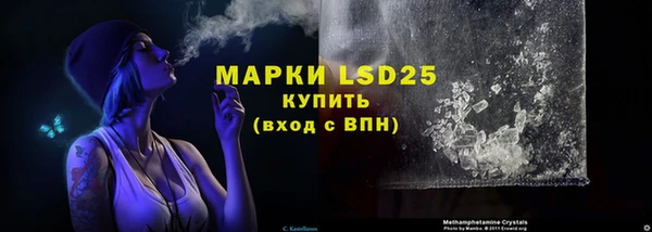 ГАЛЛЮЦИНОГЕННЫЕ ГРИБЫ Балахна