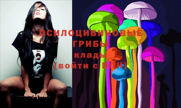 стафф Рославль