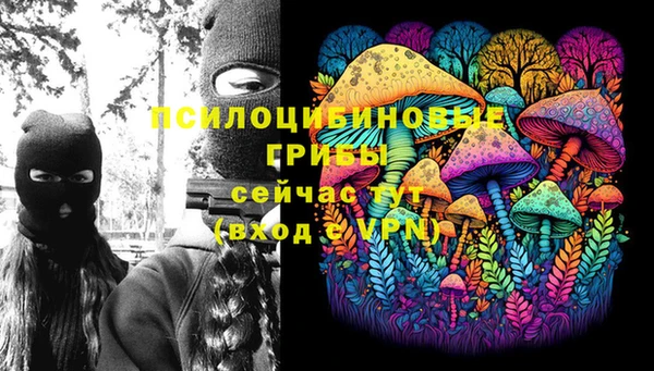 ГАЛЛЮЦИНОГЕННЫЕ ГРИБЫ Балахна