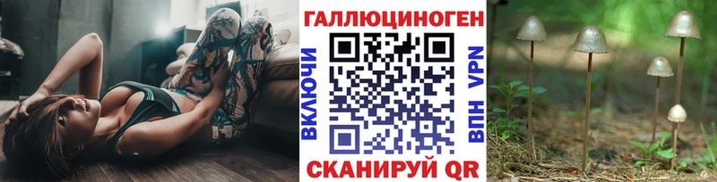 Псилоцибиновые грибы мицелий  Вольск 