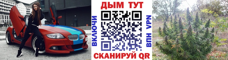 OMG Вольск даркнет телеграм МАРИХУАНА семена